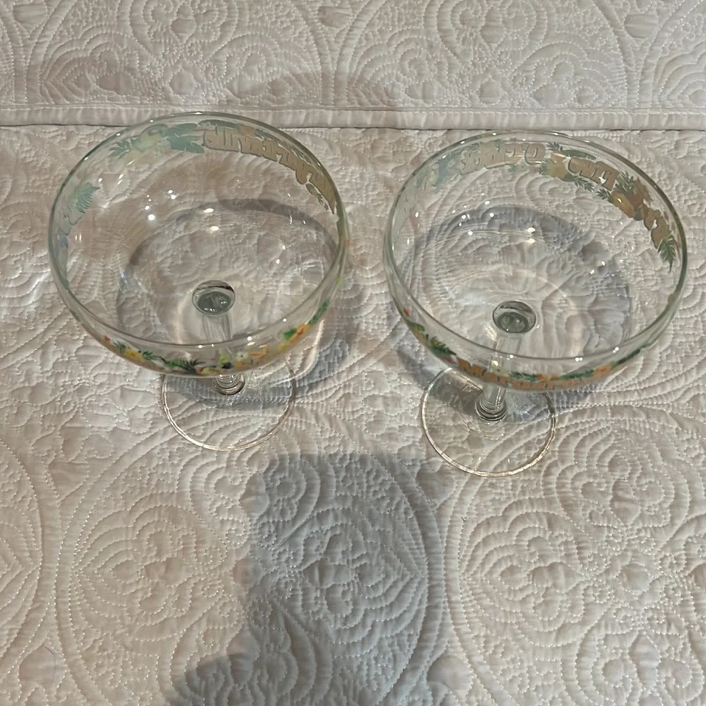 Margaritaville It’s‎ Five O’Clock Somewhere margarita glasses